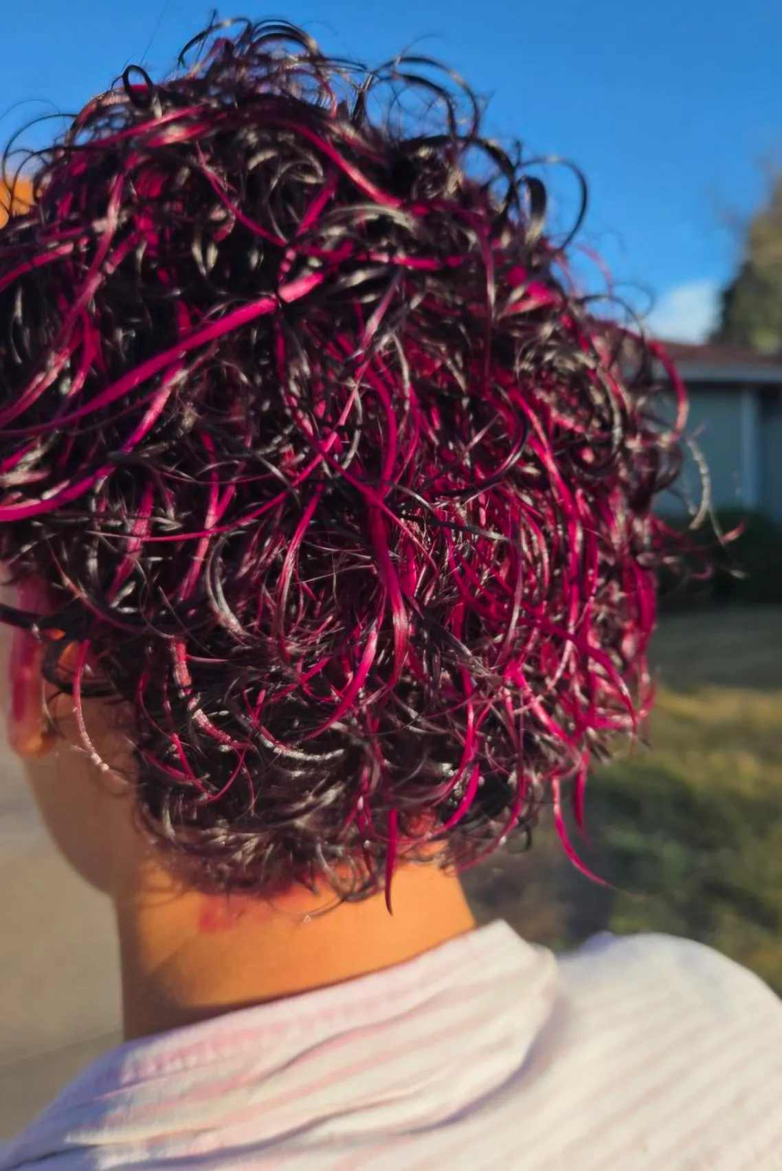 Hot pink ribbons through black curly hair